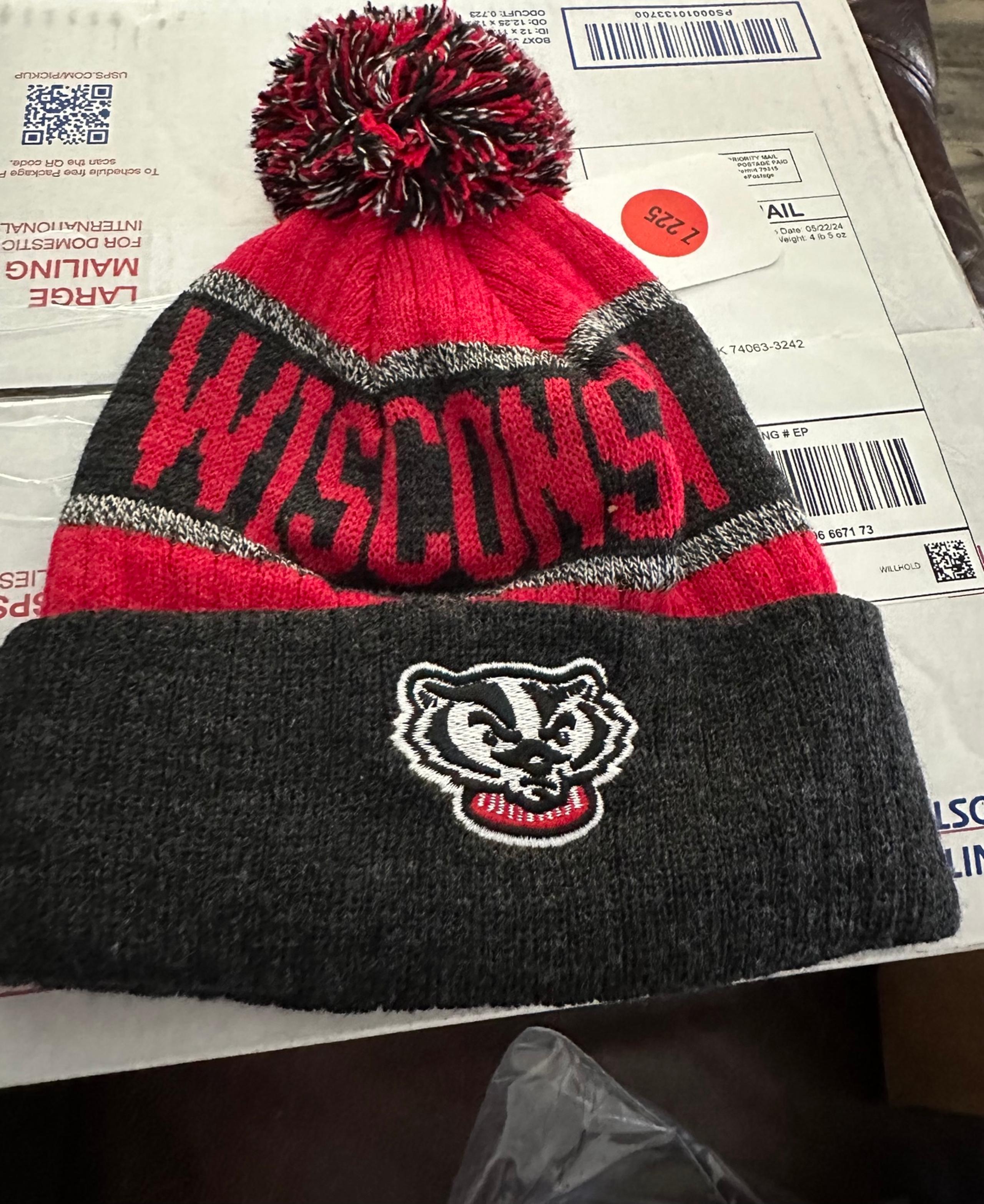 Wisconsin Badgers top of the world youth beanie- nwt