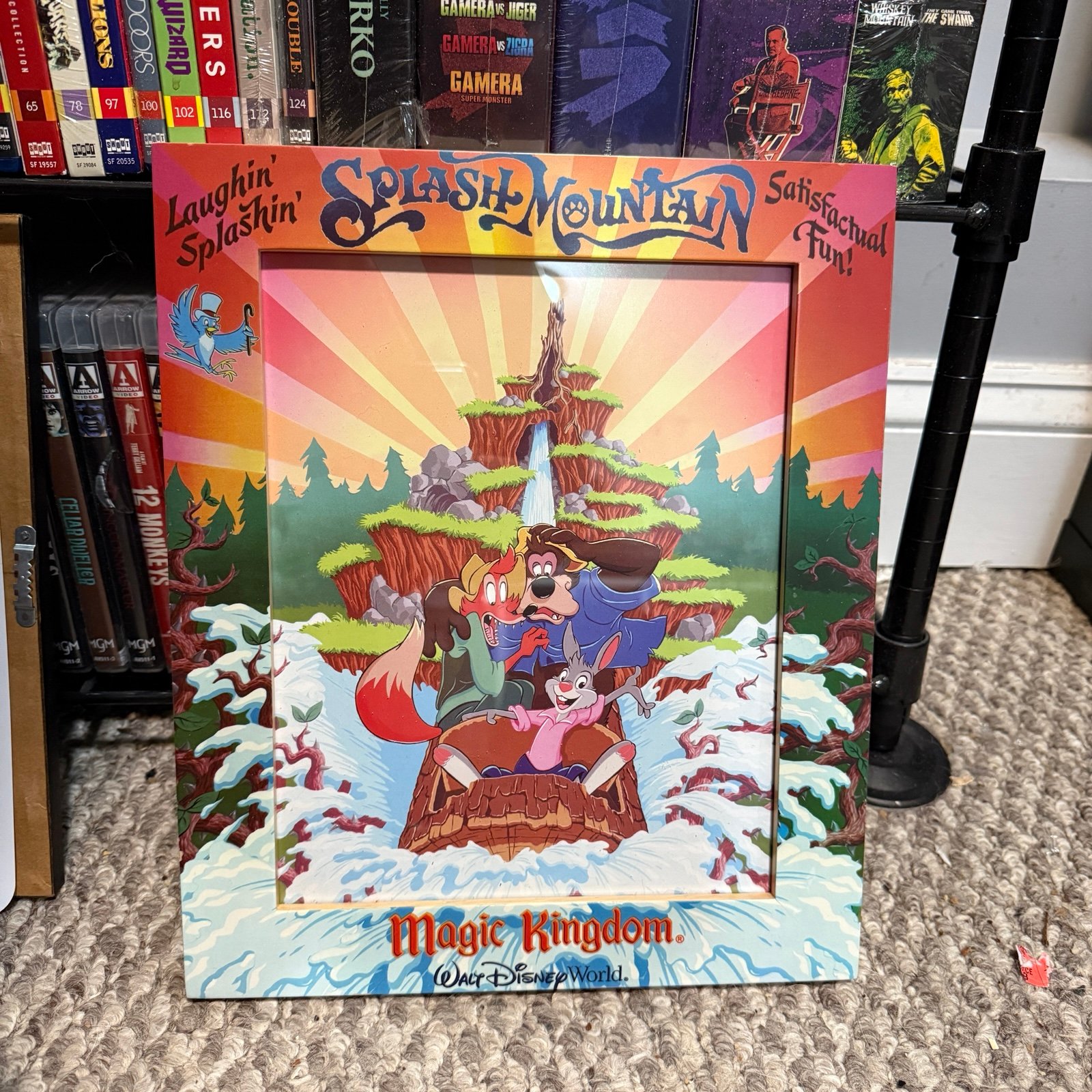 Disney World Disneyland Splash Mountain Photo Frame