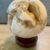 Huge UV Reactive Flower Agate Sphere