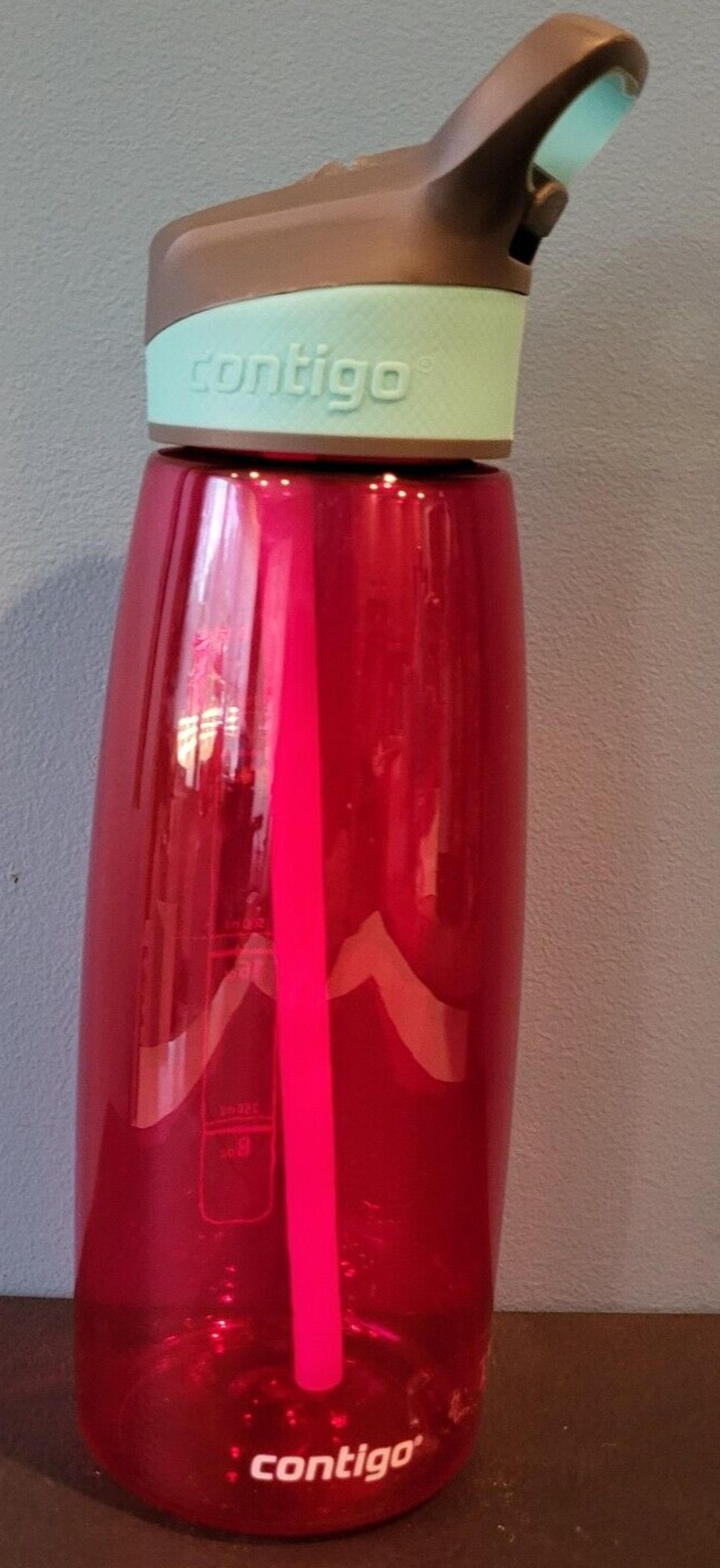 Contigo 32 oz. Plastic Drinking Bottle Pink