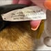 Boyds Bears Graduation Stuffed Animal Mr Graduate