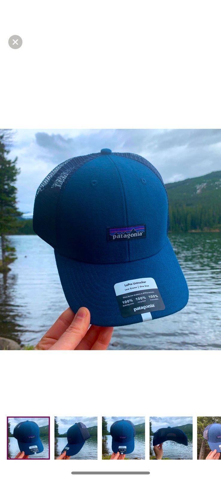 NWT Patagonia Logo Hat - Blue