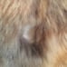 Rabbit Fur Jacket/Vest