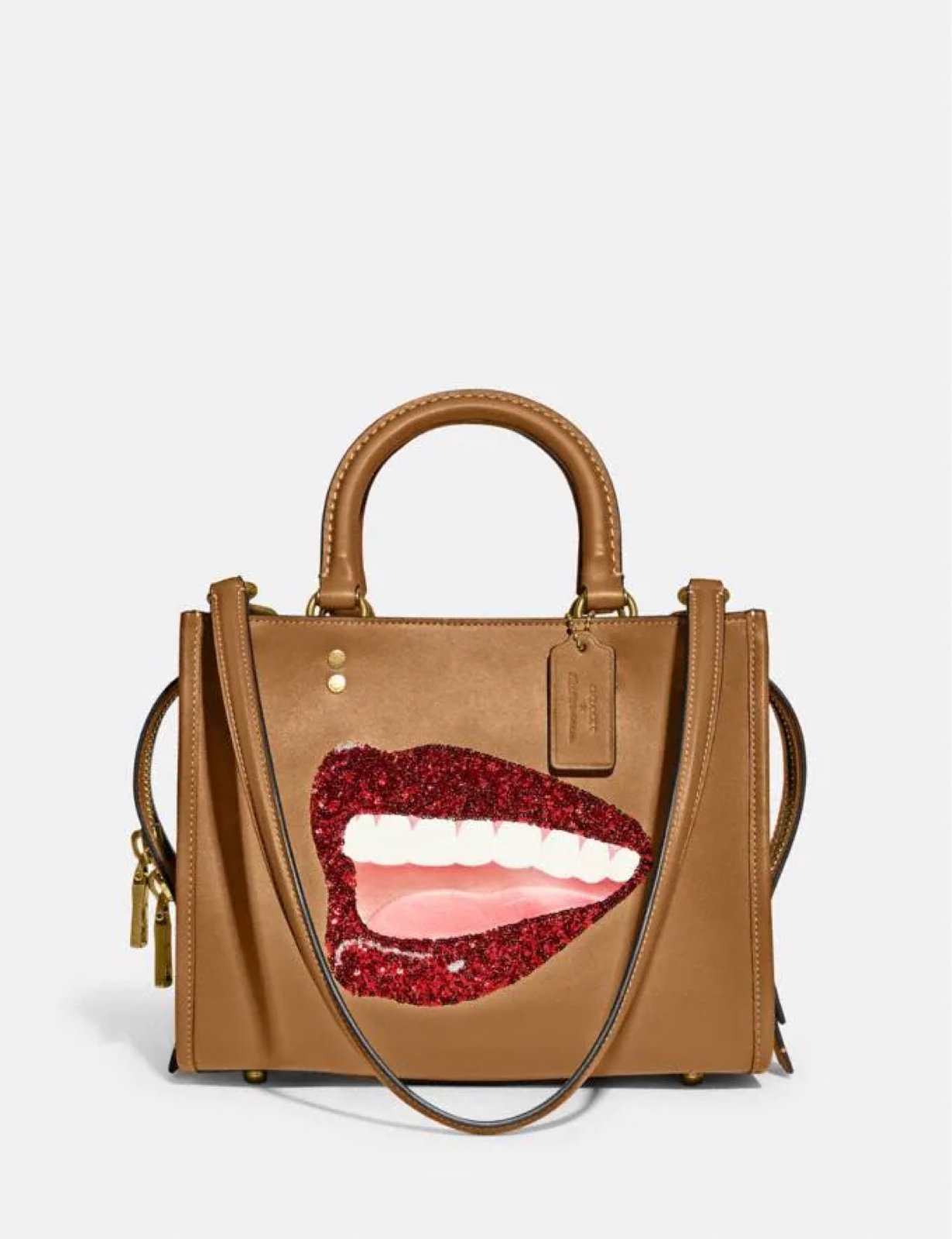 Coach X Tom Wesselmann Rogue 25