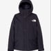 Brand new, unused North Face Mountain Light Jacket.