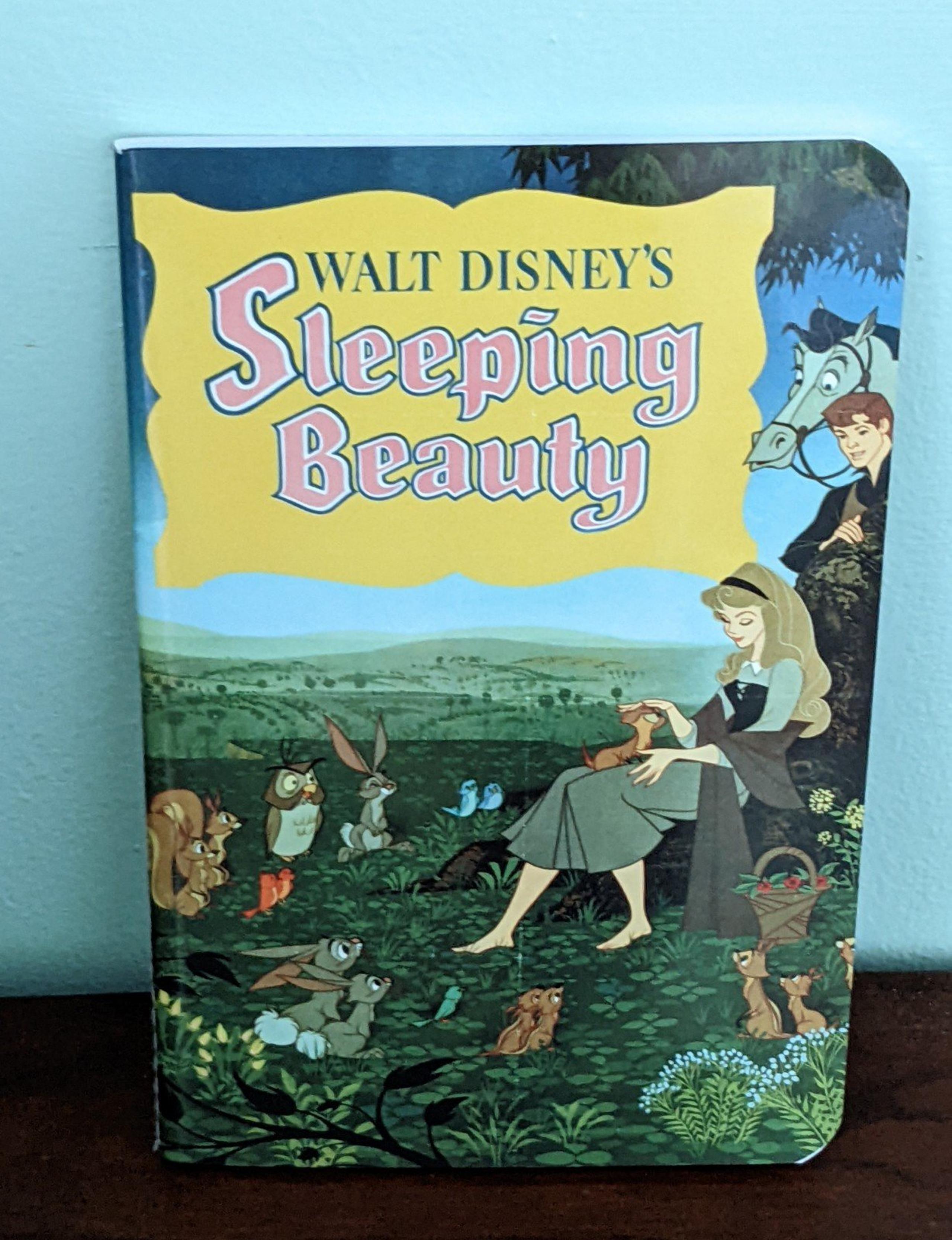 Sleeping Beauty Briar Rose Aurora Notebook