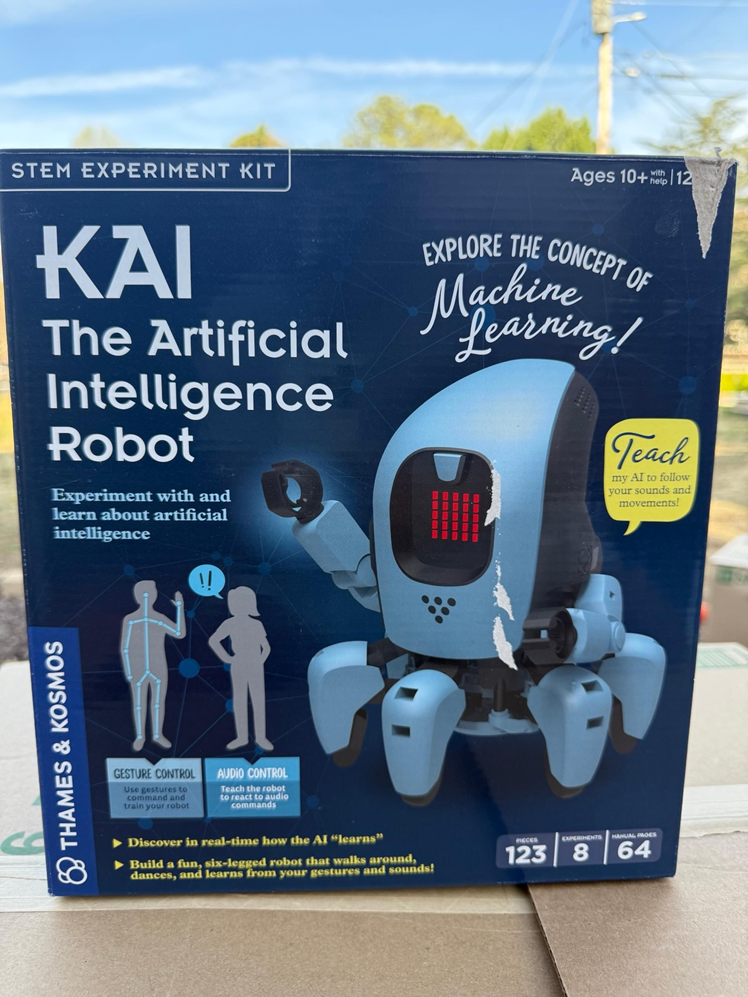 Kai the AI robot toy