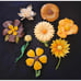 Vintage 1970s Mod MCM Lot of 8 Yellow Brown Flower Pins Brooches Metal Coro EUC!