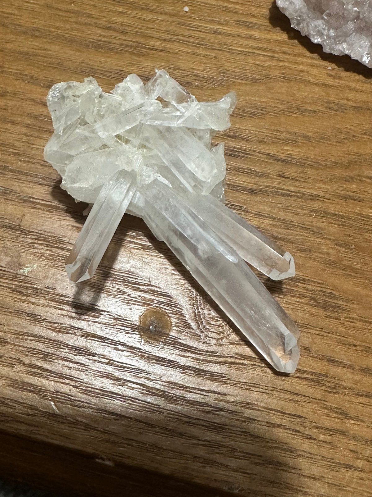 Colombian blue smoke Lemurian