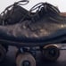 roller skates