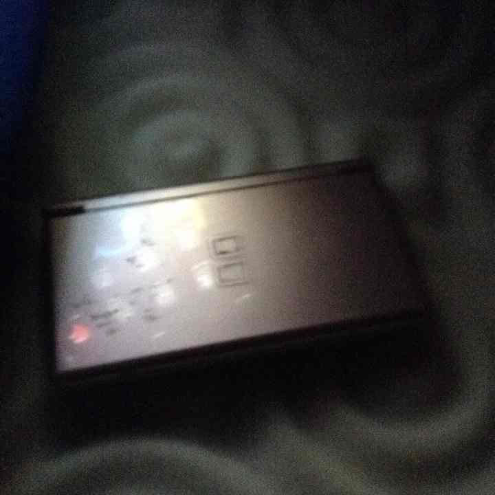 Regular dsi pink with design inside