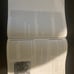 Religions of the World 13th Edition **Textbook Only NO ACCESS CODE**