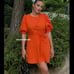 ZARA Belted Dress with Balloon Sleeves (L)
