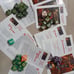Vintage Dragon Dice TSR 1995 Rules Booklet Kicker Pack 1-5, Magestorm 45 Dice