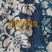 boxer rebellion corona beer hawaiian