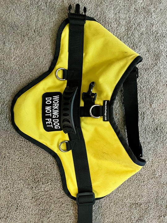 Yellow Activedogs Service dog vest