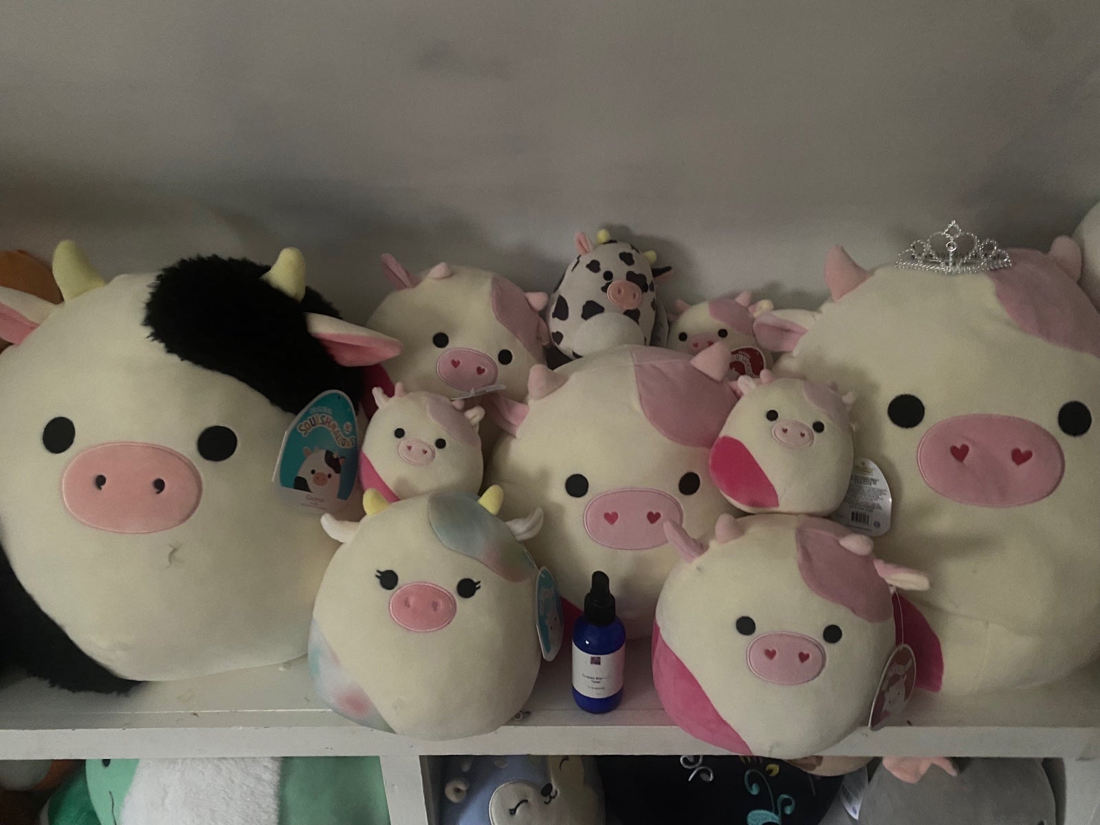 cow squishmallows