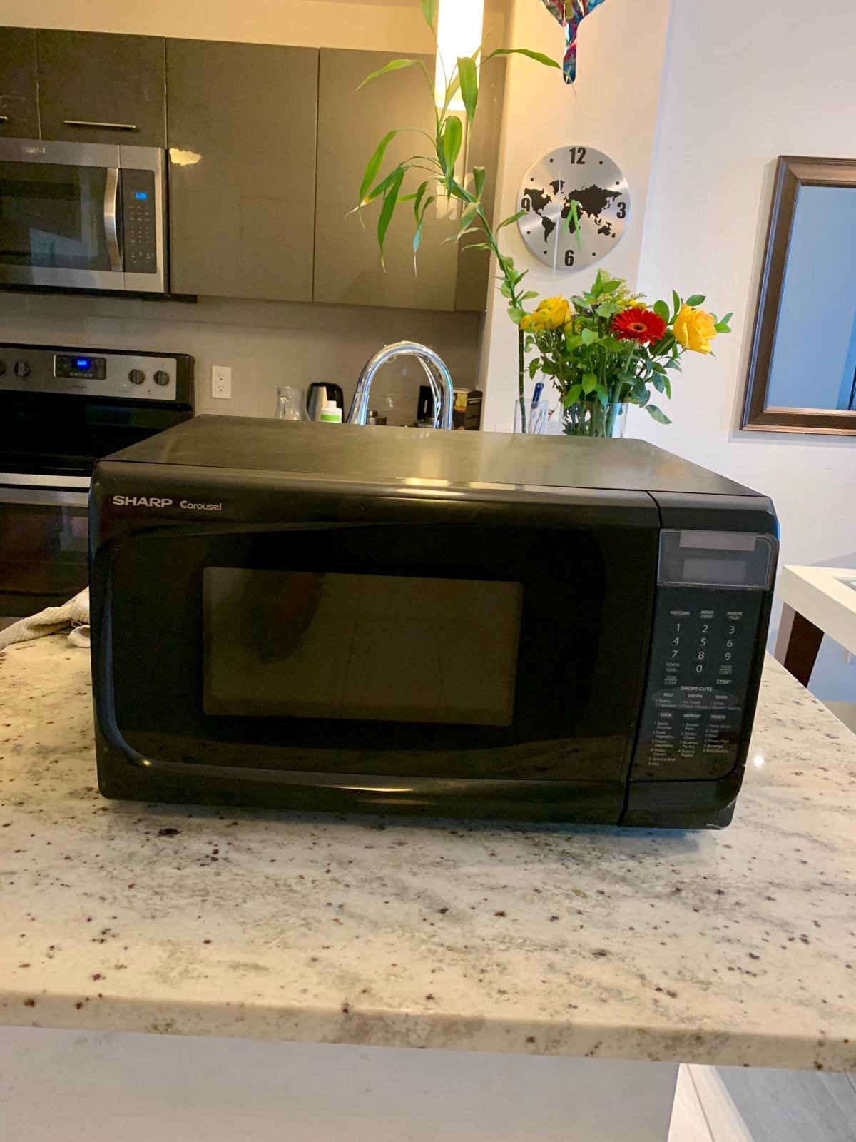 microwave oven