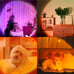 Sunset Lamp Projection, Not Only 21 Colors Sunset Lights, 180 Degree