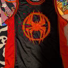 Spiderman jersey