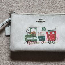 Coach Nolita 19 In Signature Canvas With Train