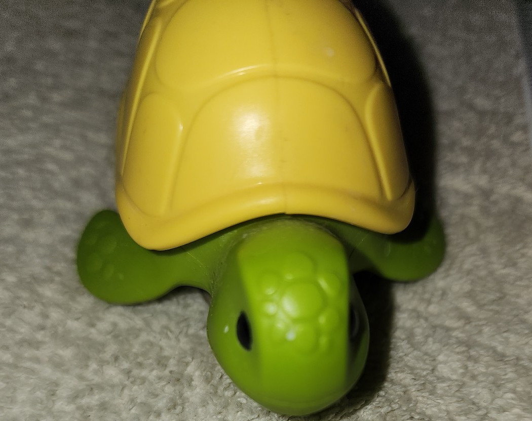 Turtle tooth brush holder