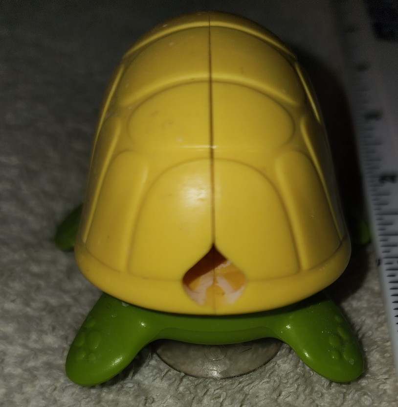Turtle tooth brush holder - detail