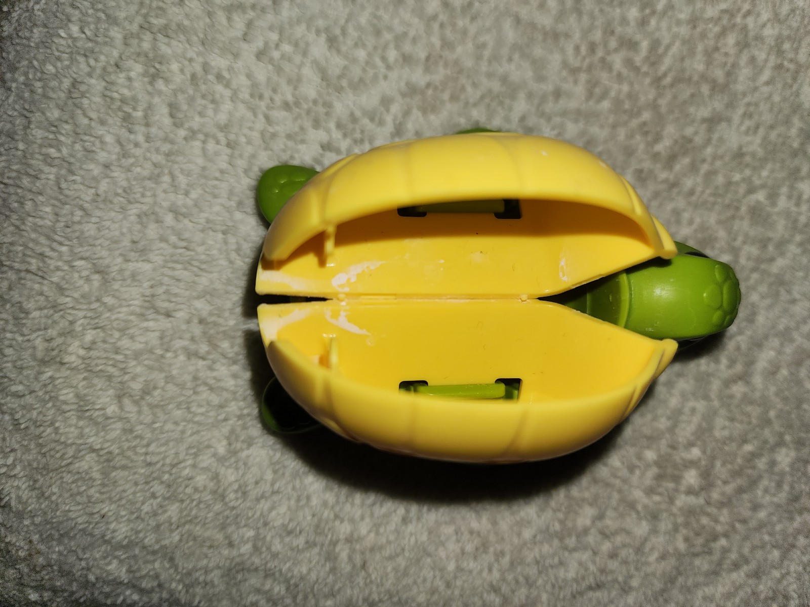 Turtle tooth brush holder - detail