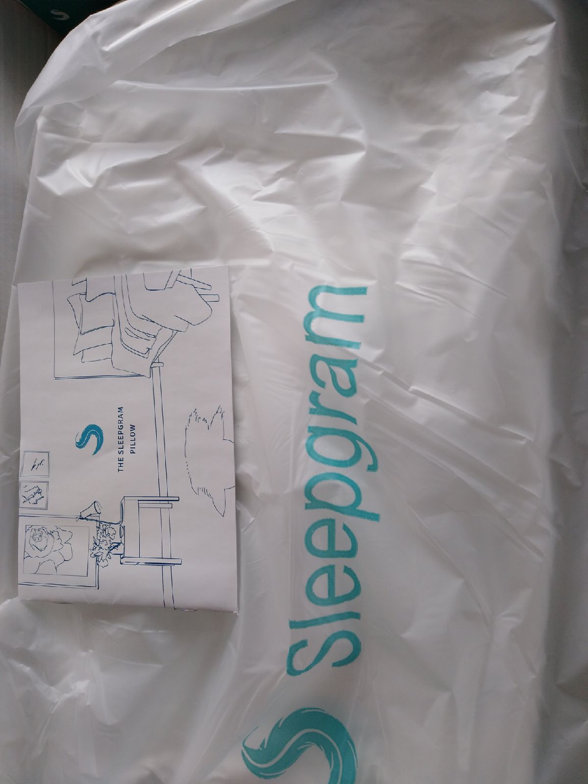Sleepgram Pillow