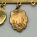 10k gold filled District Chairman Lions lapel pin with charms 1996-97