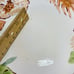 Home Trends HIBISCUS Bamboo Edge Ferns Floral Red Border Dinner Plates Set of 4