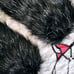 Cybergoth/Exotic Wear Set