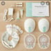 Willow breast pump