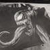 Venom From Spider Man Pencil Drawing