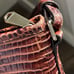 Brahmin Mini Asher Pecan Melbourne