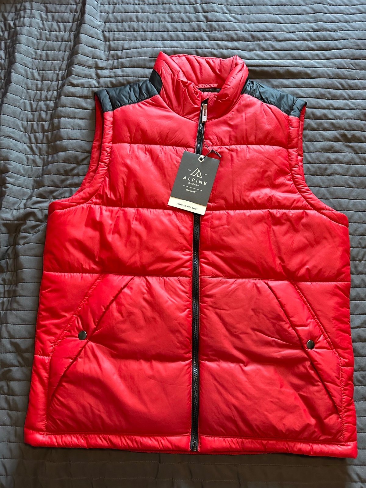 NWT Alpine men’s vest