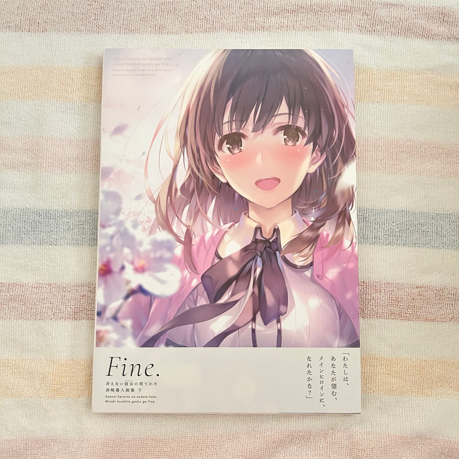 Saenai Heroine no Sodatekata Fine. Light Novel Anime Art Book