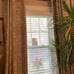 window curtains