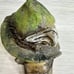 Vintage Wood N Max 1977 Candle Bearded Old Man Green Hat Smoking Pipe 6.5” Waxed
