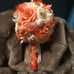 Wedding Bouquet