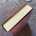 Foul Lady Fortune - Chloe Gong - Waterstones - First Edition