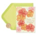 Papyrus Birthday Card 3-pack