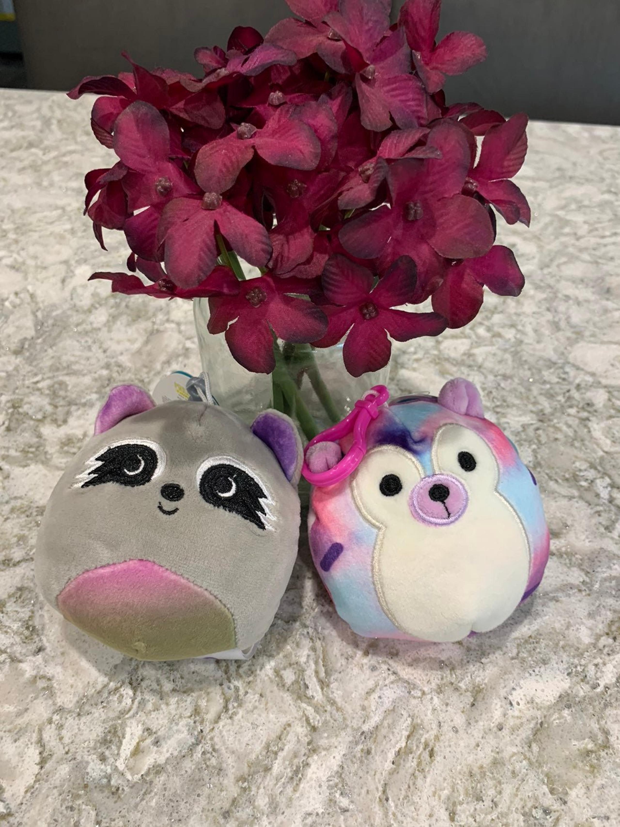 Max and Jasmine Squishmallow Clips