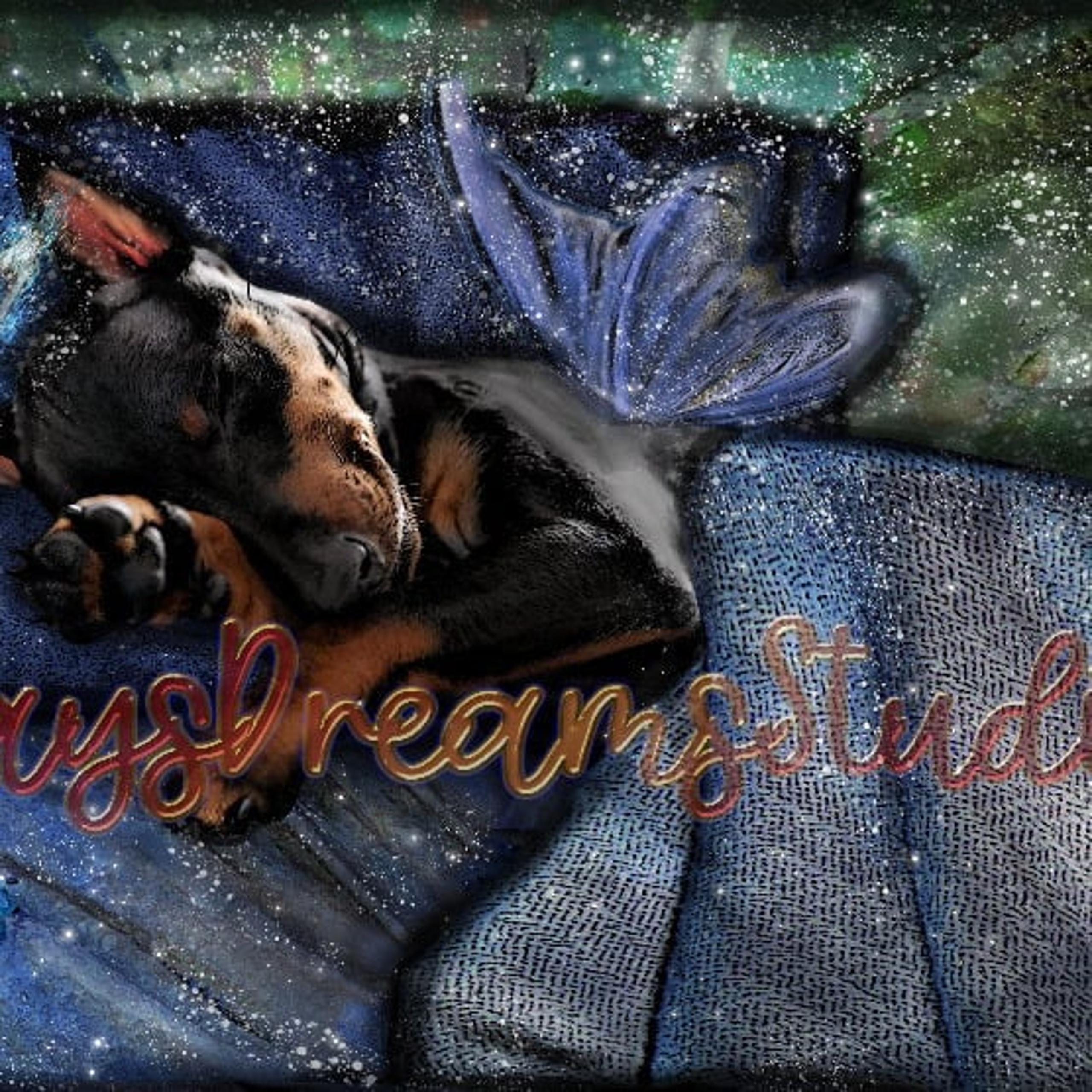 MinPin Doberman Fox Terrier Peacefully Sleeping Angel Wings Halo Memorial 8x10