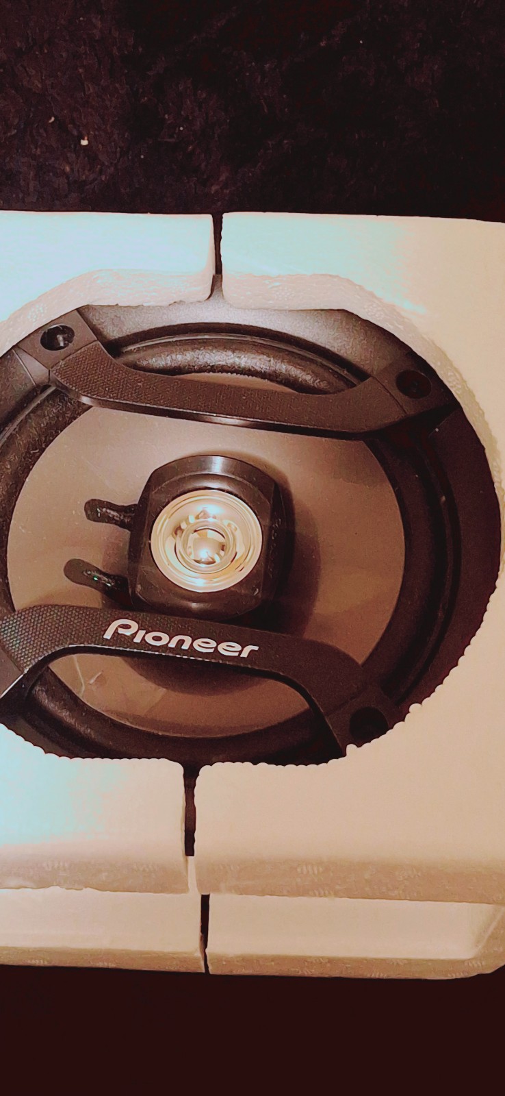 Pioneer speaker
