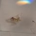 Vintage Holographic Roof Christmas Light