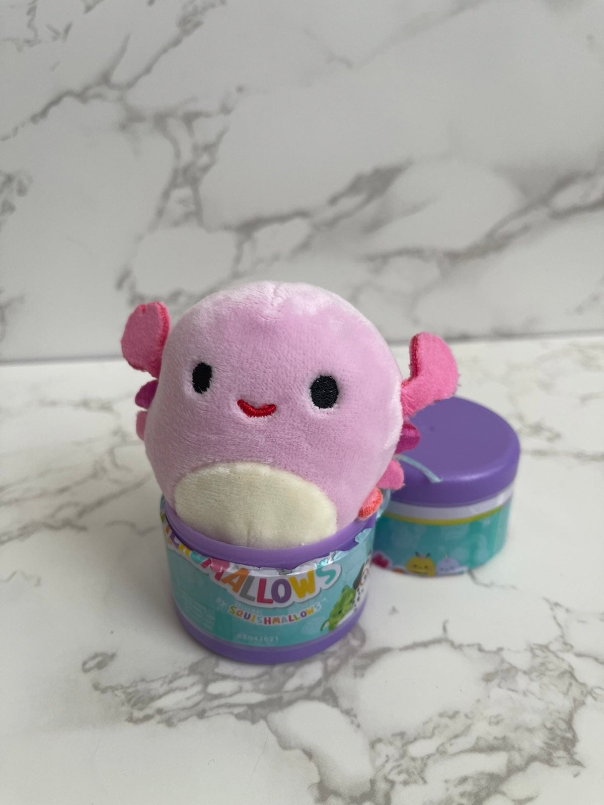 cailey micromallow