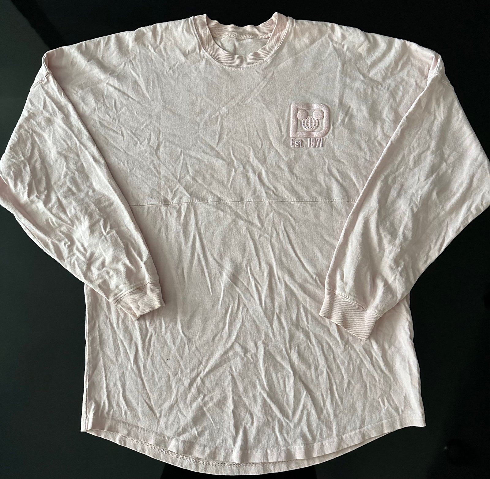 Light pink walt disney world spirit jersey