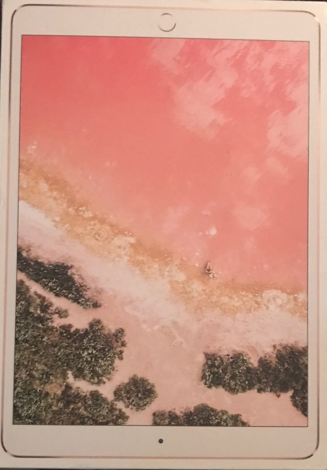 iPad Pro