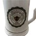 University Of New York State University College Stein Mug